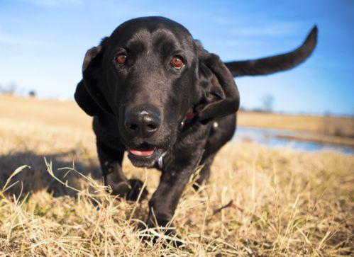 带你吃瓜火车篇全集,火车篇全集深度解析