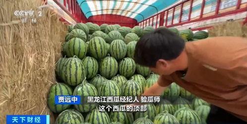 樊正东吃瓜,揭秘娱乐圈幕后故事