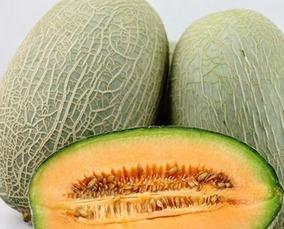 吃哈密瓜会过敏,过敏风险需警惕