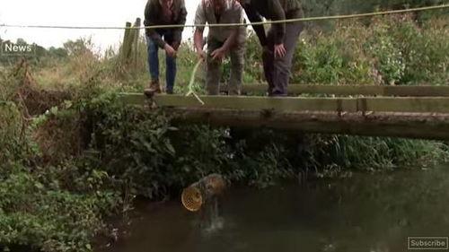 捕猎吃瓜的电影