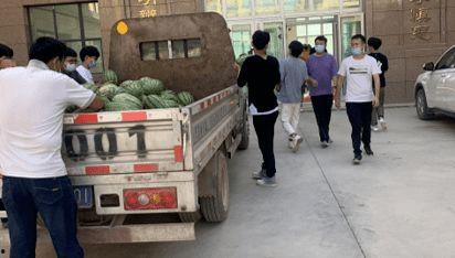 深圳龙岗吃瓜新闻,揭秘背后故事与网络热议