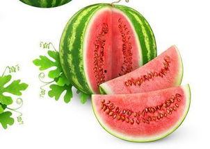 水瓶吃瓜,揭秘星座与娱乐的奇妙碰撞