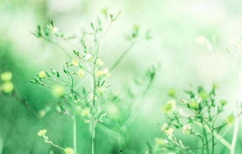 水瓶吃瓜,揭秘星座与娱乐的奇妙碰撞