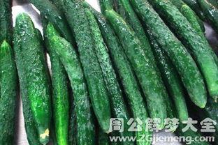 梦见在瓜地里吃瓜,瓜地寻味，瓜果飘香