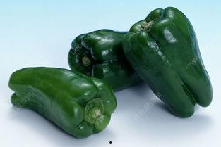 吃辣椒瓜,舌尖上的辣椒风情之旅