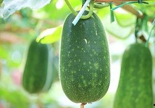 全球最热吃瓜,盘点年度最热话题