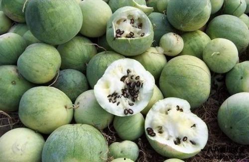 全球最热吃瓜,盘点年度最热话题