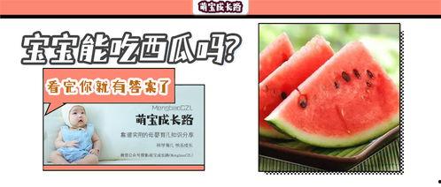 避暑吃瓜,吃瓜攻略大揭秘