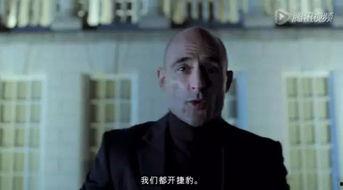 吃瓜小组007全部,揭秘娱乐圈背后的秘密与真相