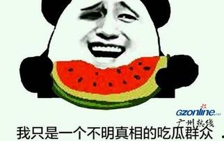 真实吃瓜群众视频