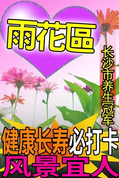 火爆吃瓜小说免费阅读,火爆吃瓜小说免费阅读大揭秘