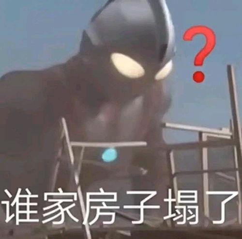 头像男吃瓜图文,男子田间品尝新鲜瓜果，趣味盎然