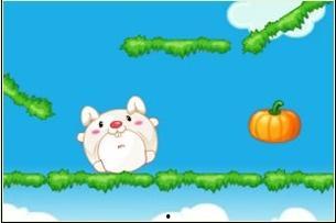 兔子吃葫芦瓜么