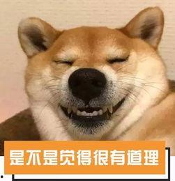 吃瓜群众看滴滴,揭秘网约车行业的风云变幻