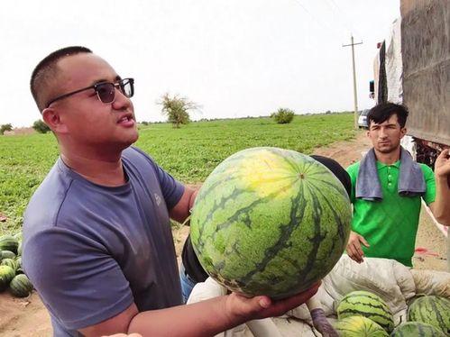 永嘉吃瓜新闻,揭秘当地热点事件背后的真相与笑料