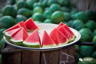 永嘉吃瓜新闻,揭秘当地热点事件背后的真相与笑料