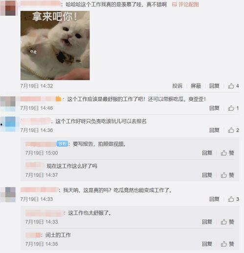 搜索吃瓜去