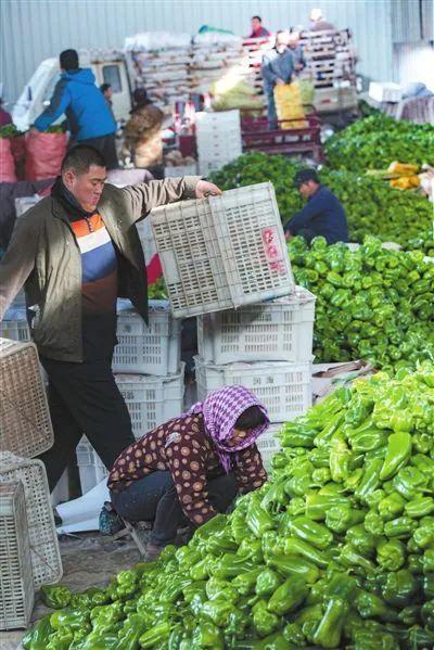 青州高柳吃瓜,瓜香四溢，品味夏日田园风情