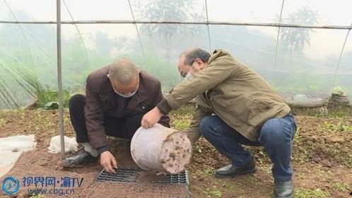 疫情吃瓜事件重庆