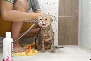 澡堂吃瓜,揭秘民间八卦趣事