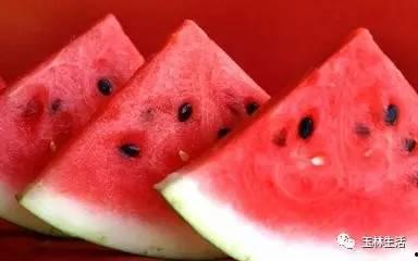 玉林吃瓜事件真相,揭开真相背后的真相