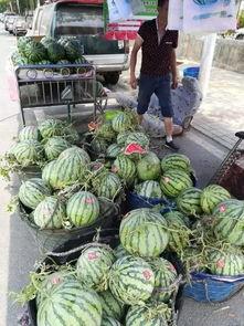 玉林吃瓜事件真相,揭开真相背后的真相