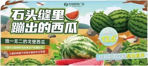 吃瓜每日大赛网站,揭秘网络热点背后的故事与真相