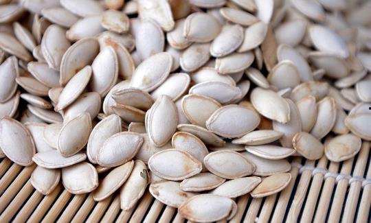 吃冻瓜补肾吗,揭秘冻瓜补肾的神奇功效