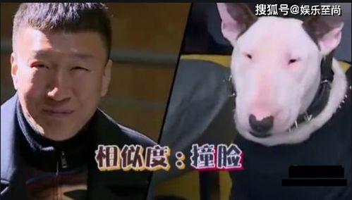 吃瓜系统搞笑反派,反派搞笑日常大揭秘