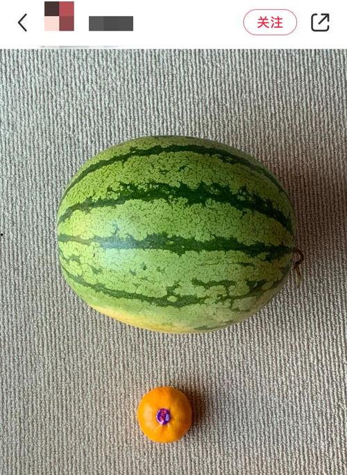 全网吃瓜大合集,盘点年度热门事件与热议瞬间