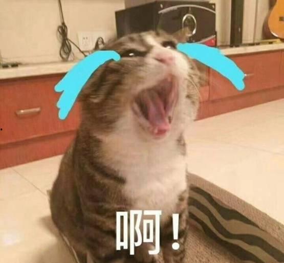 大头吃瓜头像,揭秘娱乐圈幕后真相