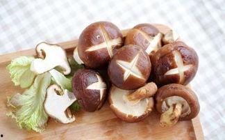 伤口愈合可以吃瓜吗