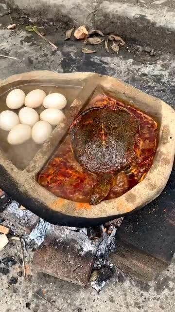 石瓜和甲鱼能一起吃吗,探究能否同食的饮食奥秘