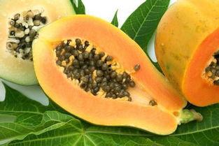 胃病吃瓜觉得苦,胃病患者如何应对