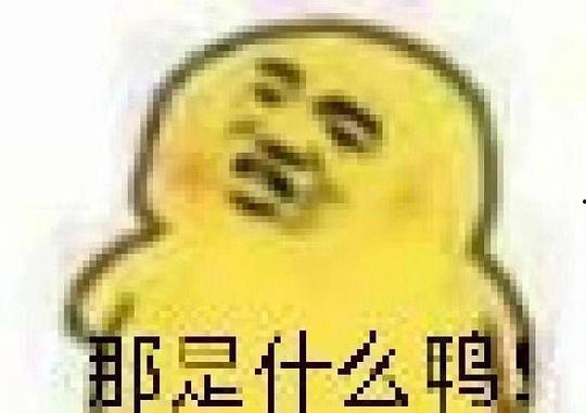 吃瓜后表情包,揭秘网络社交中的“瓜味”趣味