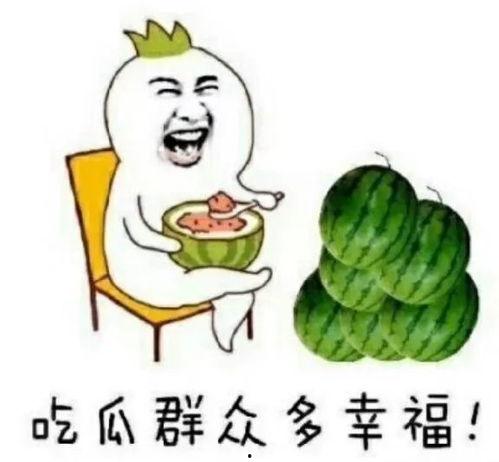 快乐吃瓜小主